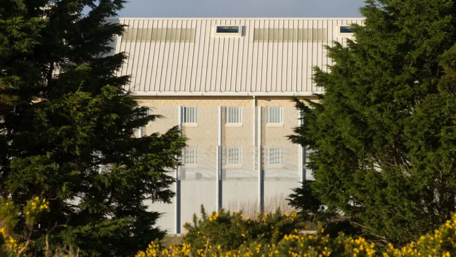 A view of La Moye prison through some gorse bushes speckled with yellow. You can see the perimeter fence in the foreground. 