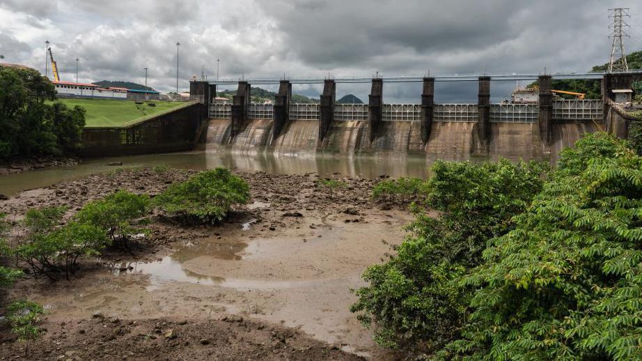 A muddy bank with foliage and minimal water is seen in the foreground, with a shallow body of water and closed locks in the background.