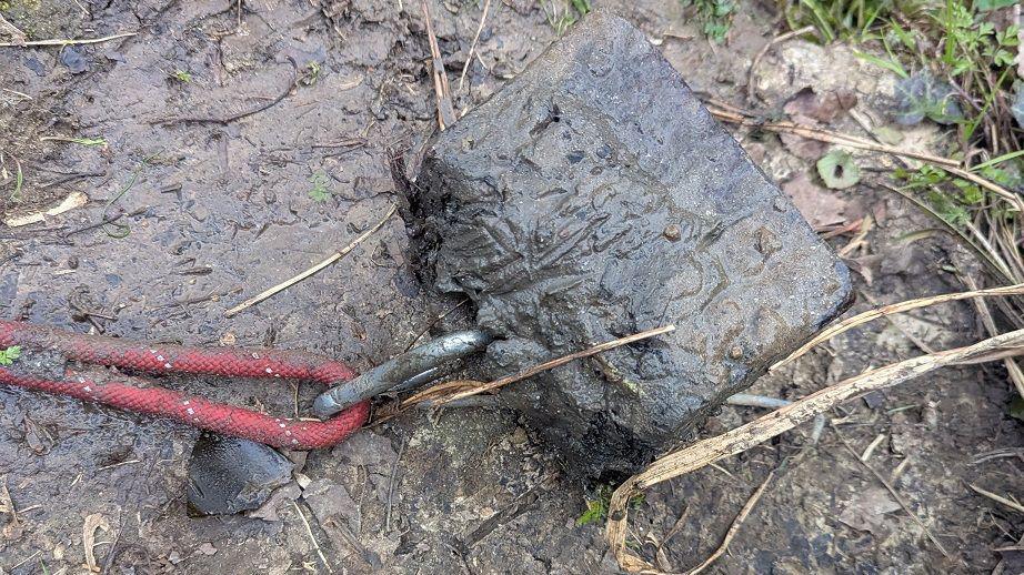 A muddy river nak with a red elastic leash tied to a big square weight