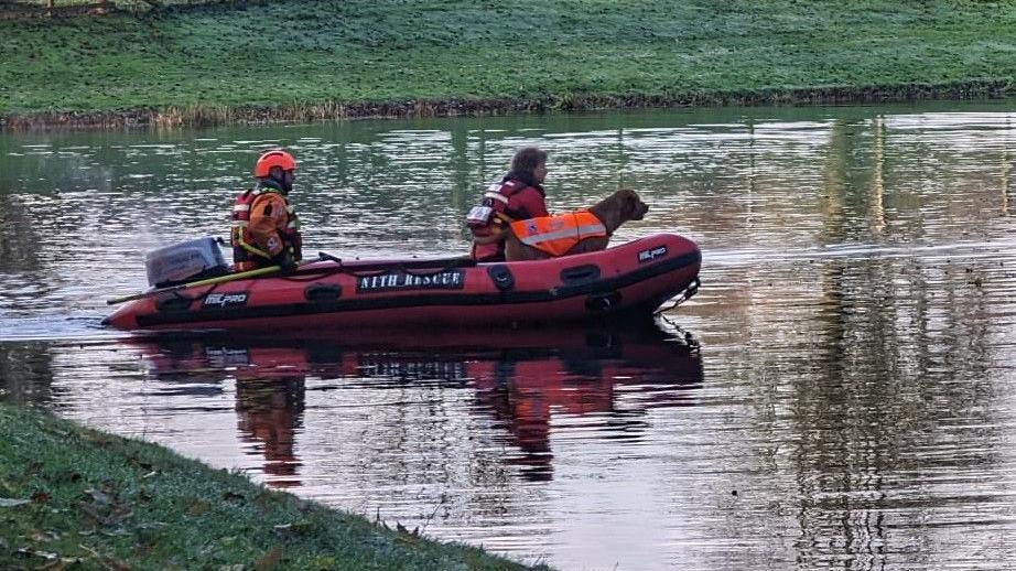 Water search