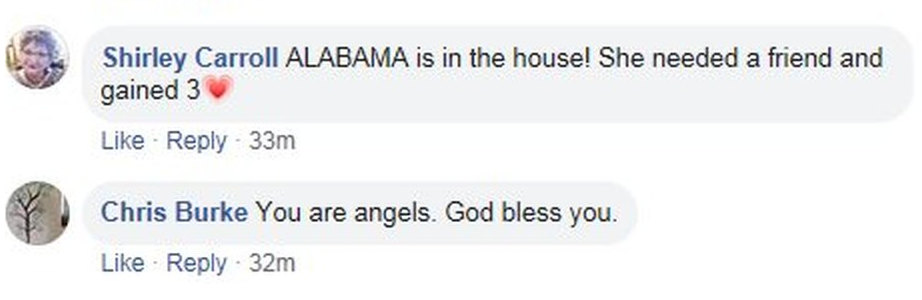 Shirley writes 'She needed a friend and gained three' and Chris writes 'You are angels. God bless you.'