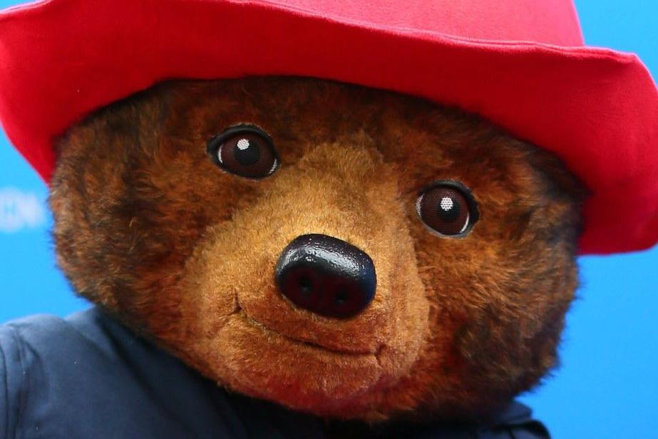 Close-up of face of Paddington Bear, with a shiny nose, brown eyes and a red hat