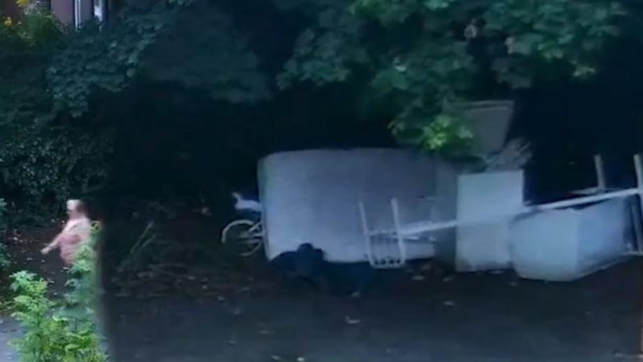 A woman in a pink top walks under some trees. She is walking away from a large pile of waste, including a white mattress, white bedframe, a bicycle, and white boxes.