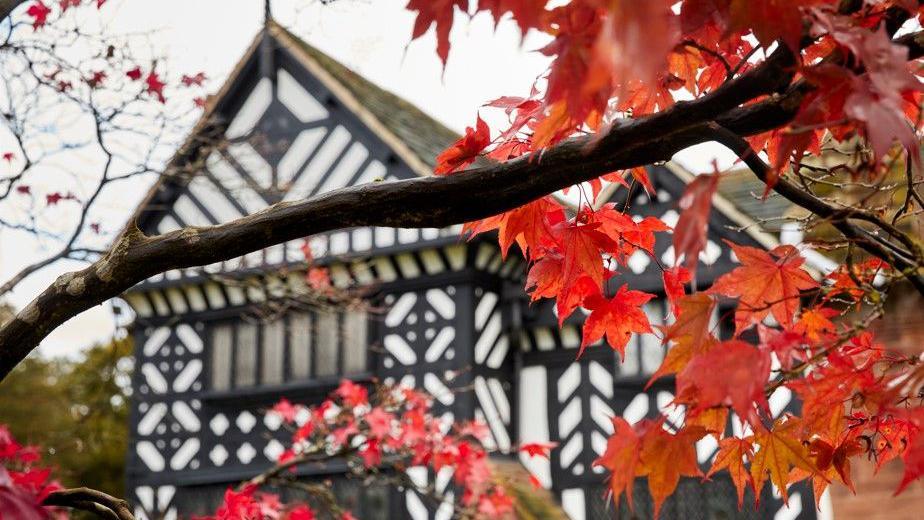 Colourful red and orange leaves can be seen with Speke Hall's black and white timber frontage seen blurred out in the background.