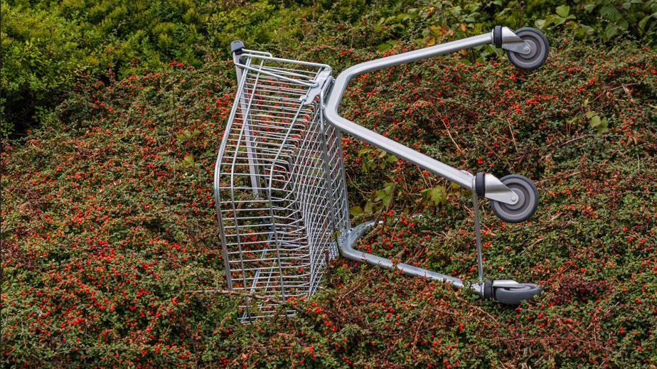 An abandoned trolley in bushes.