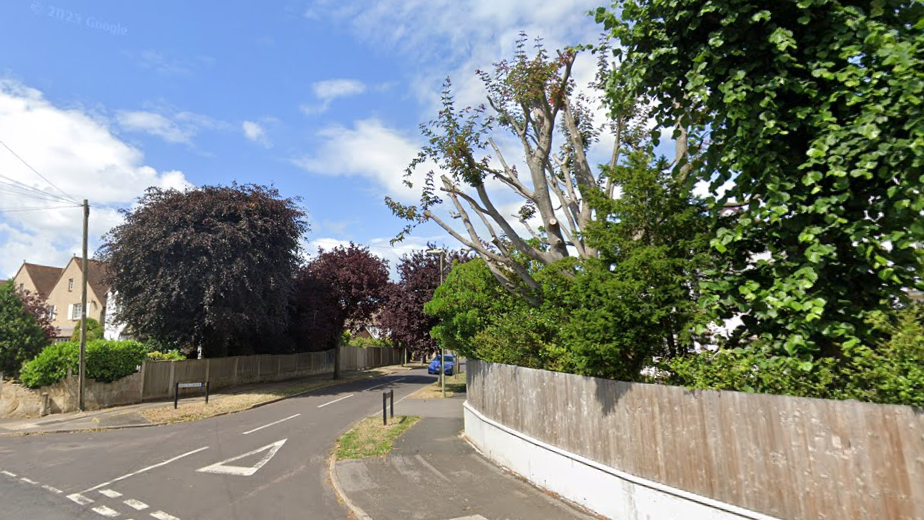 The entrance to Beech Grove, with Give Way markings on the road. Trees and large bushes are visible above wooden fences on both sides of the road.