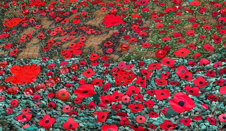 Wave of poppies on the net