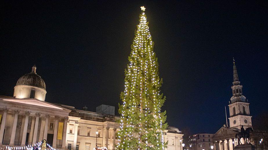 Trafalgar Square Christmas tree.