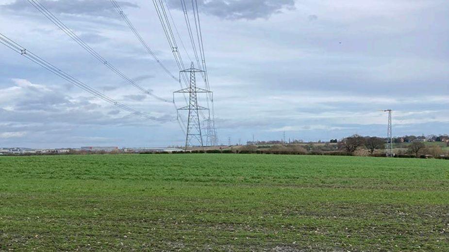 A green field with large electricity pylons overhead.