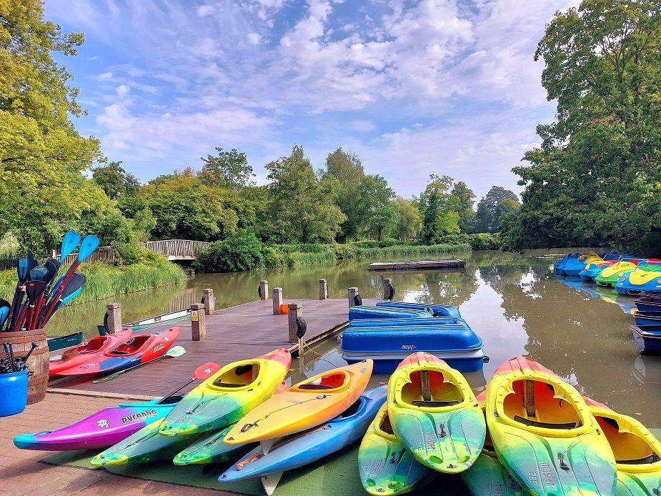A series of brightly multi-coloured canoe boats site on a bank, next to a wooden jetty which leads into a lake.