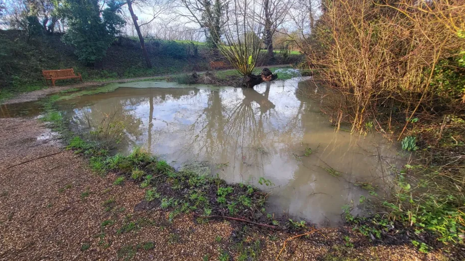 Flooded pond in front of the church 