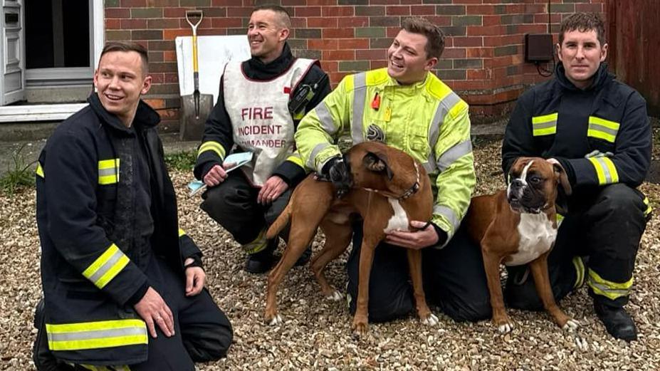 Four firefighters in high-viz jackets holding the two boxer dogs outside a house that had the fire. The windows are open on the terraced house and the pets are sat down with the firefighters.