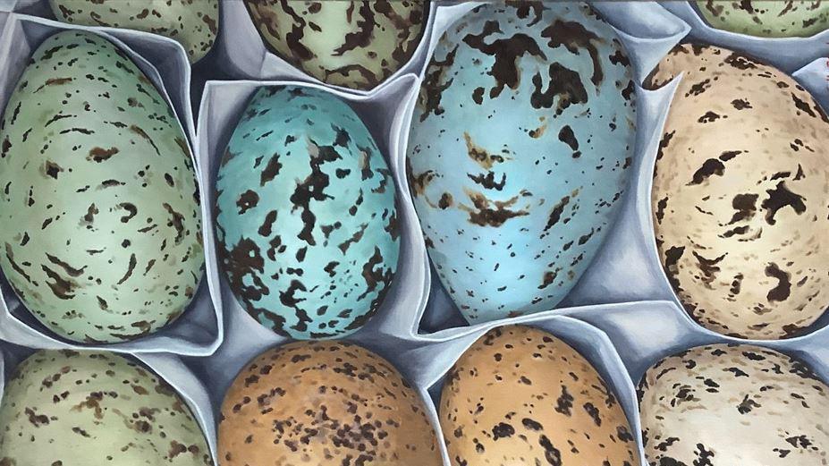 Eggs of different sizes in blues, greens and cream colours, laying in fabic.