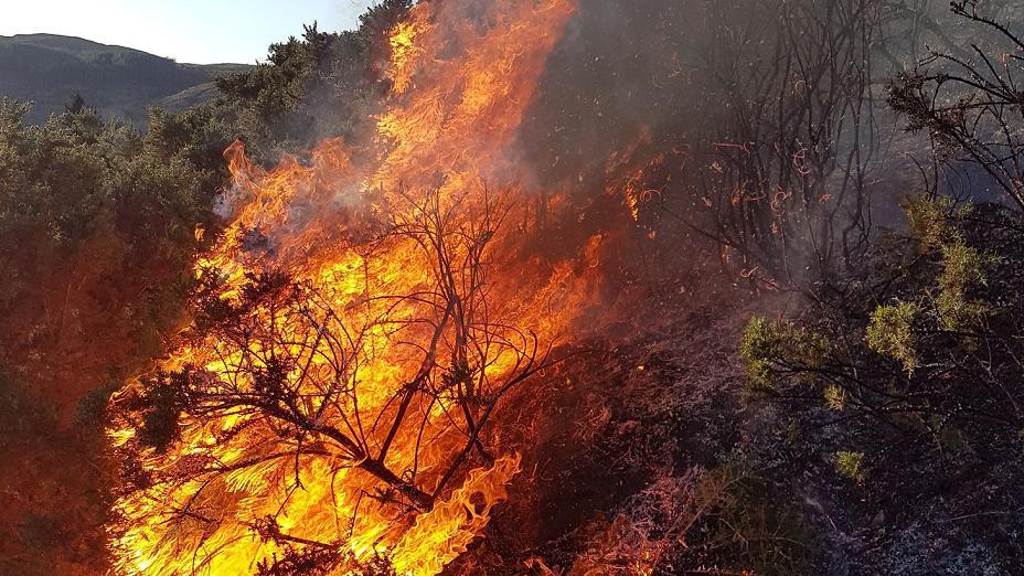 Wildfire at Rogart