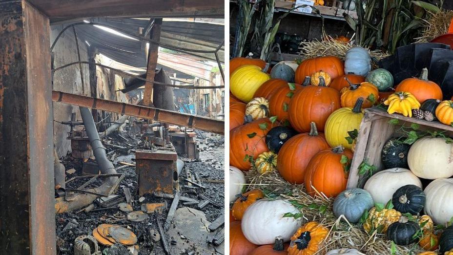 A montage of two images. One shows the fire-damaged barn with twisted, blackened metal and ashes strewn across the floor. The second shows pumpkins of various varieties and colours stacked in an undamaged barn.