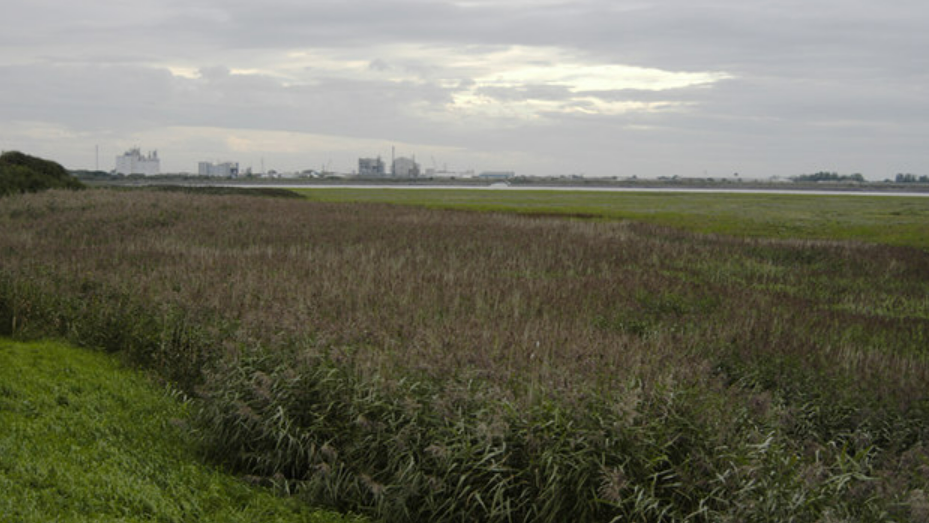 A shot, from a distance, of the former ICI works in Thorton-Cleveleys. It can be seen on the horizon over marsh land. 