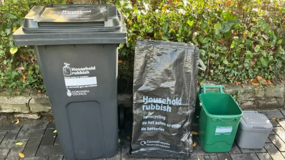 There are two black household rubbish bins next to a green food waste bin and a small grey bin. They have been placed in front of a green hedge.