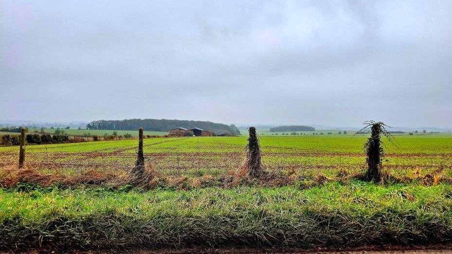 A view across fields with four fence posts and a couple of wooded areas and farm buildings in the background.