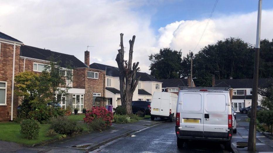 The stump of a tree in the front garden of a house in a suburban road with semi detached houses and two vans parked in the street.