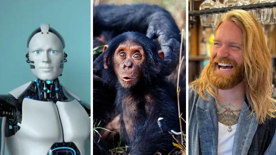 An edited image shows a robot, a small chimpanzee and singer Sam Ryder laughing