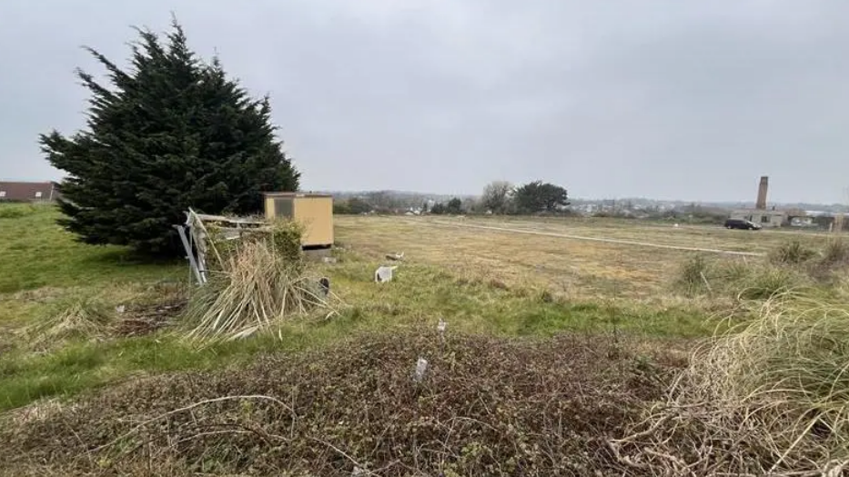 A fallow field surrounded by bracken, trees and an old temporary building.