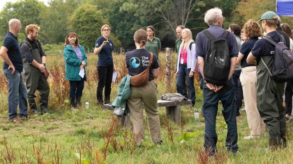 A crowd gathers in an area of wetland to watch the water voles being released