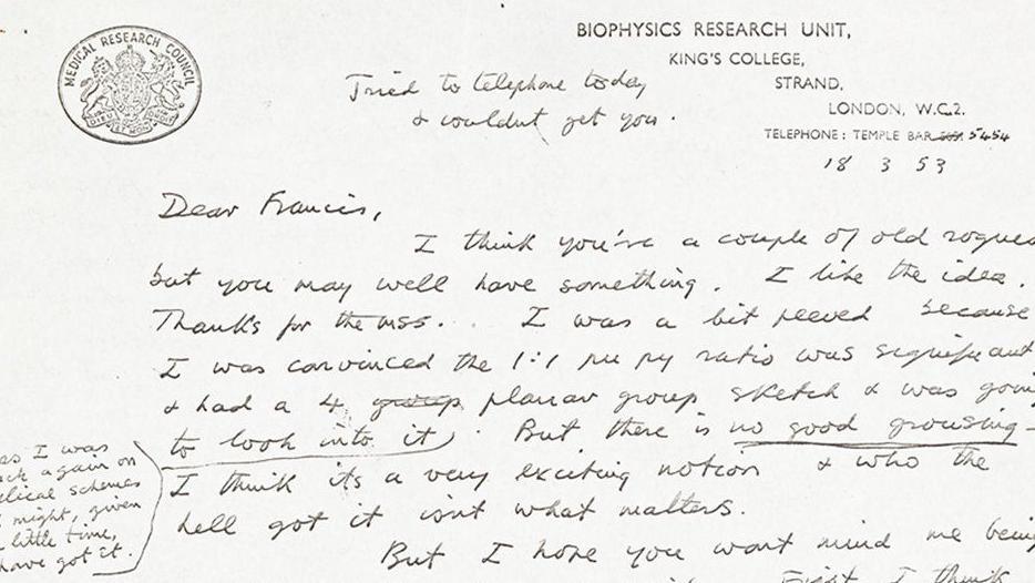 18 March 1953: letter from Wilkins to Crick "I think you're a couple of old rogues but you may well have something"