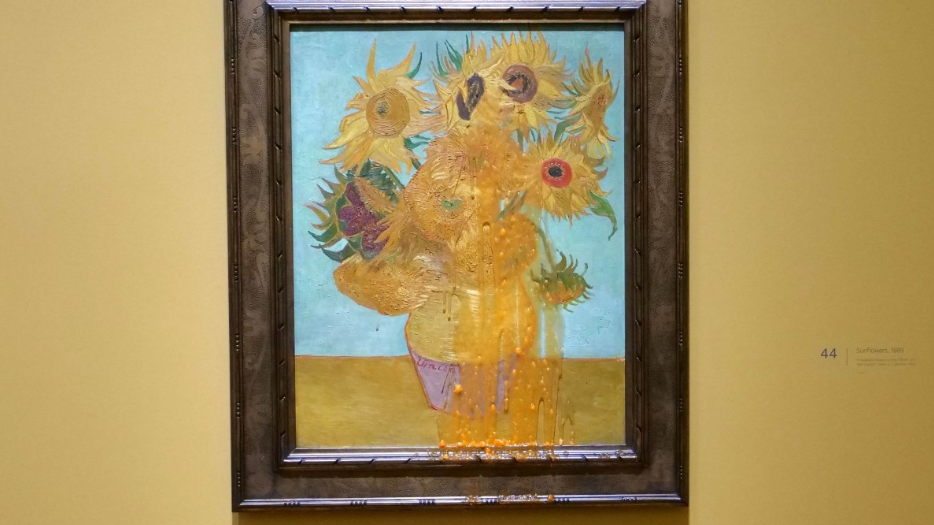 An image of Van Gogh's Sunflower artwork at the National Gallery which has had tomato soup thrown over it