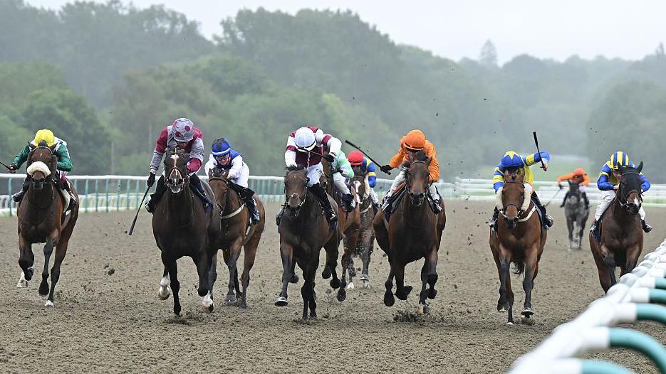 Racing at Lingfield Park