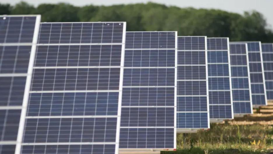 Rows of mounted solar panels in a grassy field. There is a line of trees in the background. 