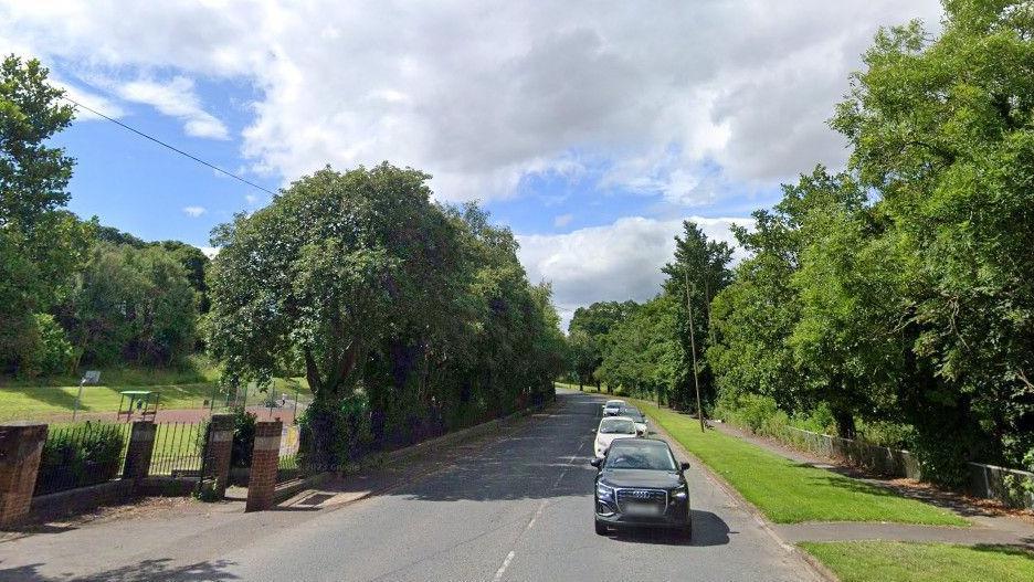 Road with trees on the side on a sunny day.