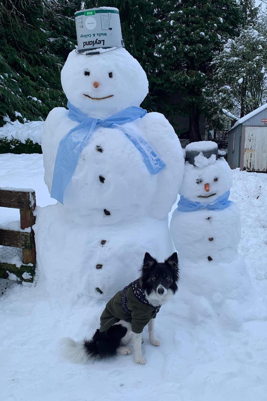 Snowmen and dog in Strathpeffer