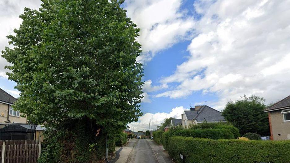 A picture showing Guild Road, a street lined with houses and bushes. 