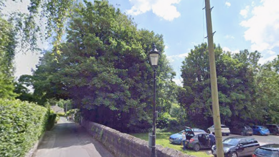 A Google Maps view of Waterside and the Waterside car park. Trees can be seen where the proposed development is planned.