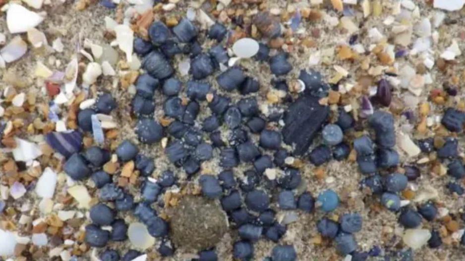 Close up image of dozens of black plastic pellets on a shingle beach