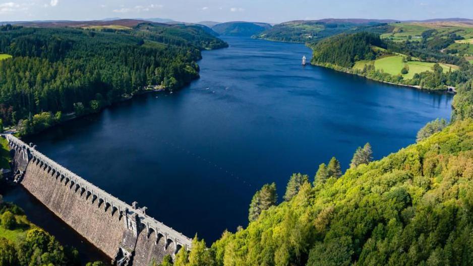 Llun o Lyn Efyrnwy