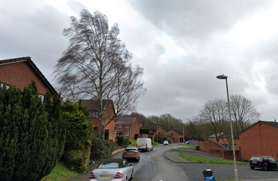 Cars are parked outside houses which sit on both sides of the road.