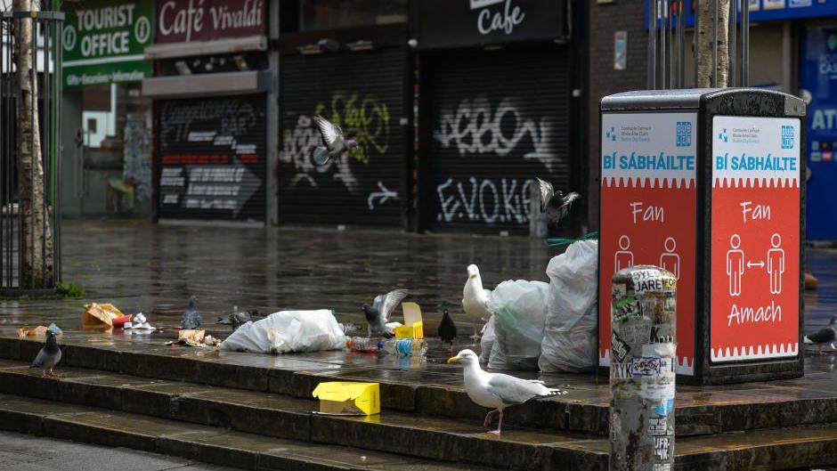 A street in Dublin, there is a bin and rubbish on the floor, seagulls and pigeons are at the rubbish