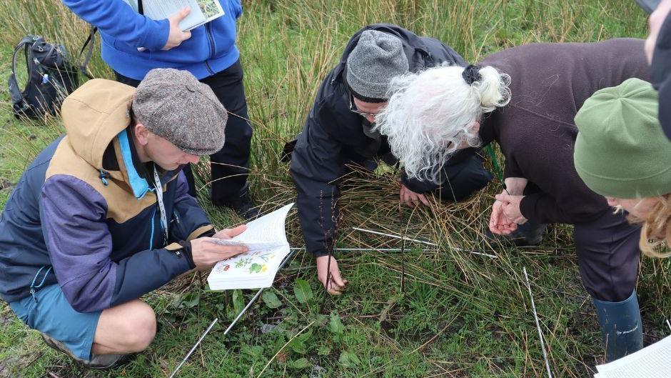 Surveying work being carried out on the Smithills Estate moorland.