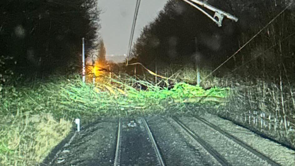 A tree lies on a broken electric power line on a railway line