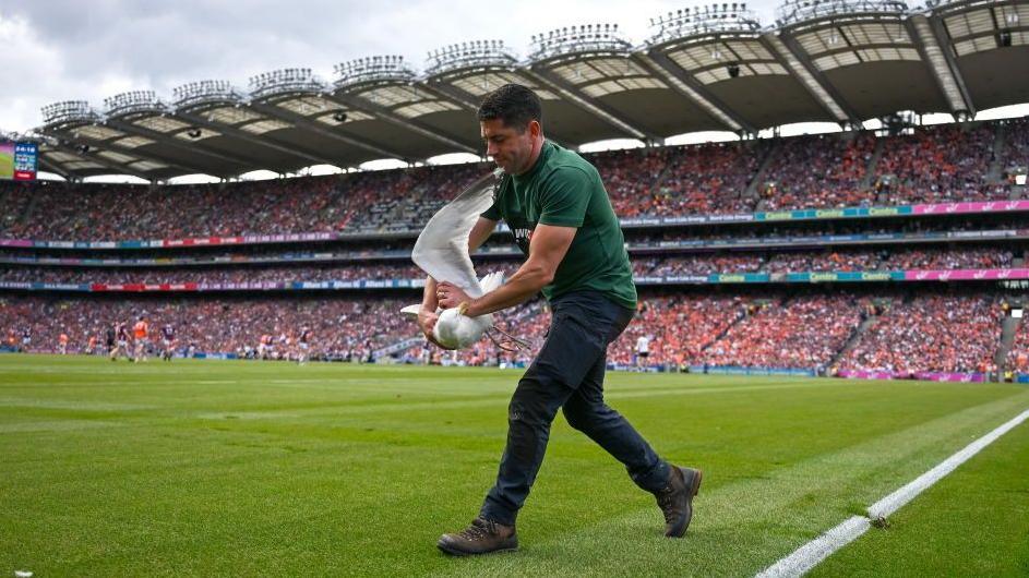 Seagull being carried off the pitch by an official