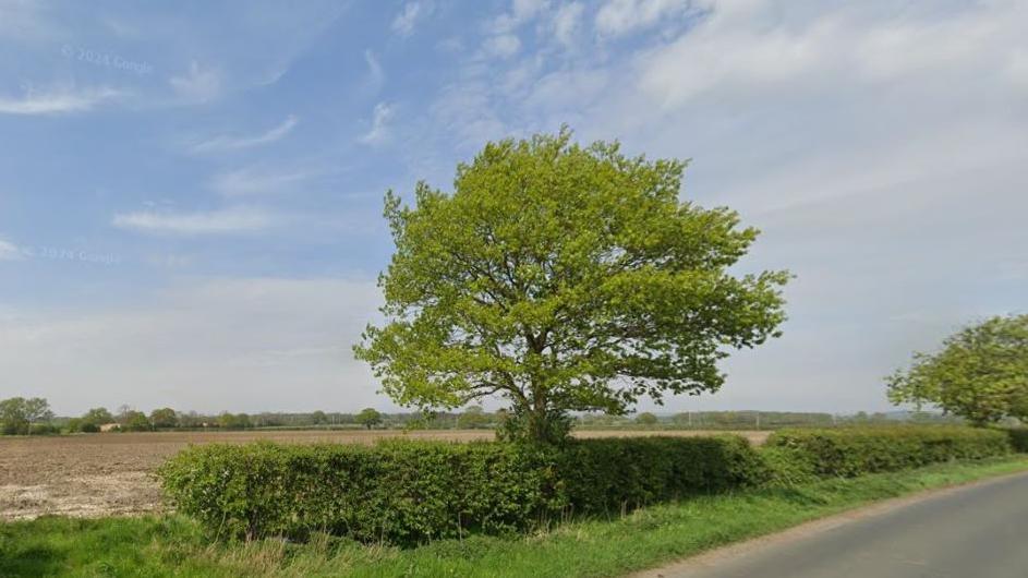 The site of the proposed solar farm in Pilmoor 