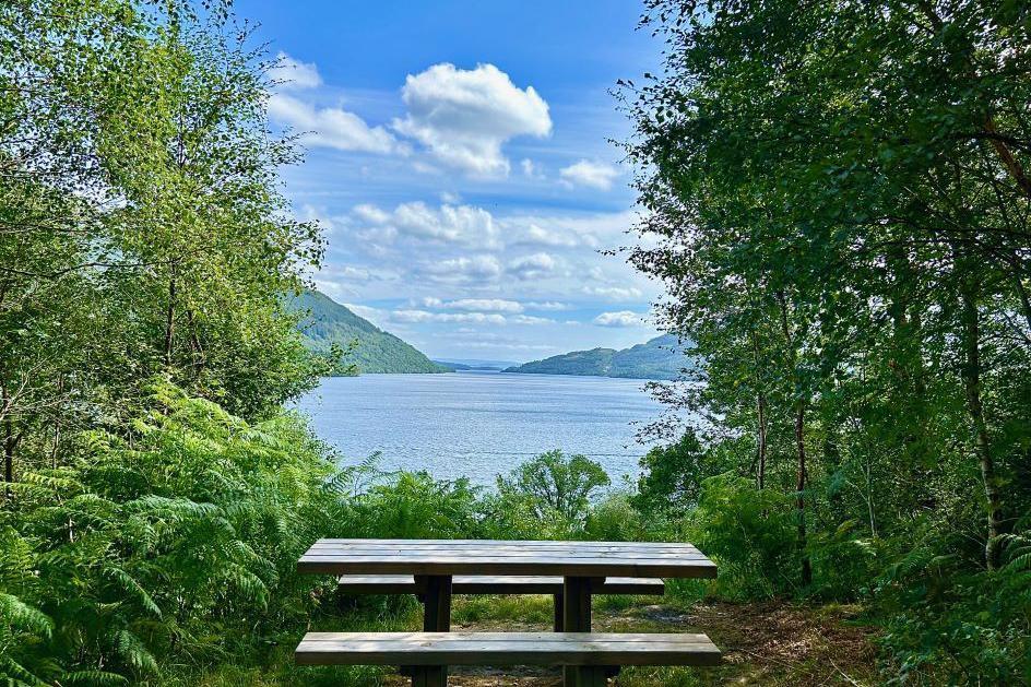 Bench with beautiful view