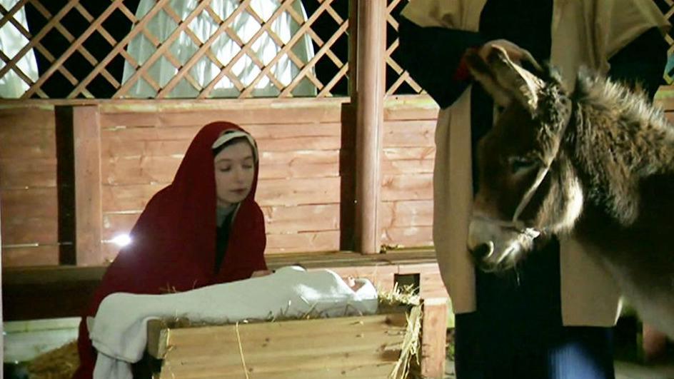 A live action Nativity scene, complete with a baby jesus doll in a crib, a woman dresses up as Mary, a real donkey in the stables area, and a priest in the background. 