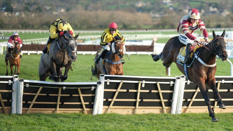 James Bowen riding Quantock Hills and Sean Bowen on Teriferma, en route to a dead head at Cheltenham in December