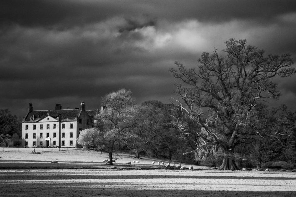 Monochrome Award winning image of house and trees