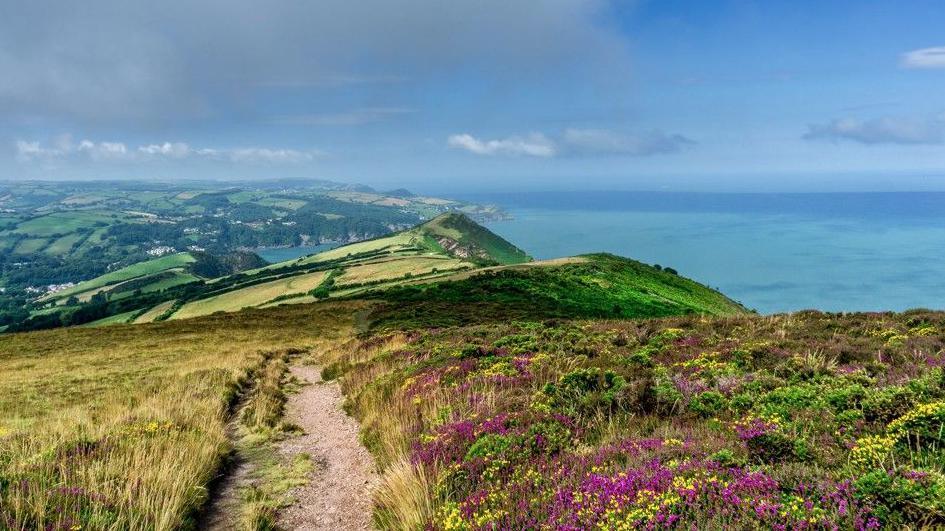 Great Hangman - with heather and vegetation in the foreground and a well trodden path. In the background green fields and the sea.