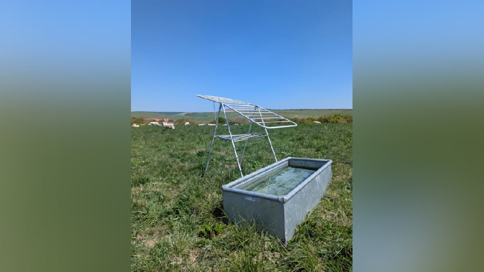 A clothes horse stands in a field next to a water trough.