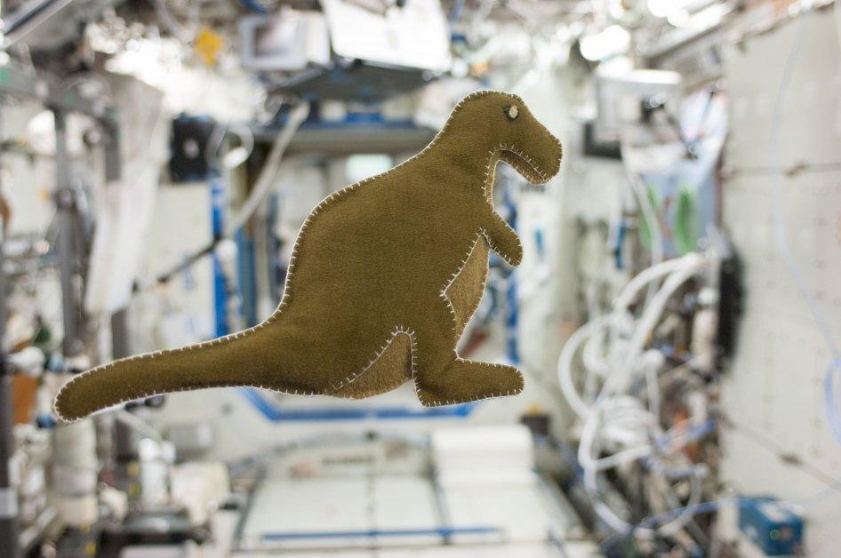 dino in space