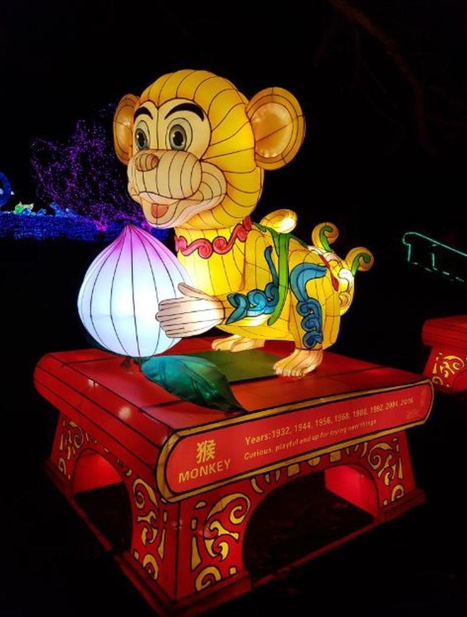 monkey lantern